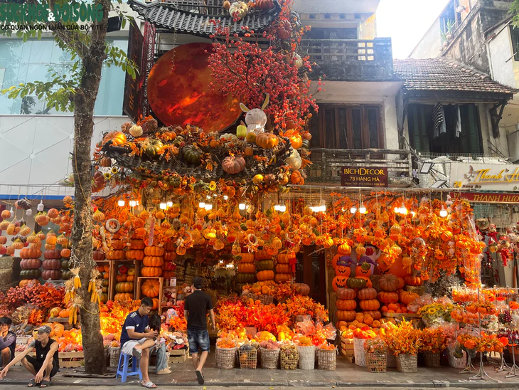 pho-hang-ma-ha-noi